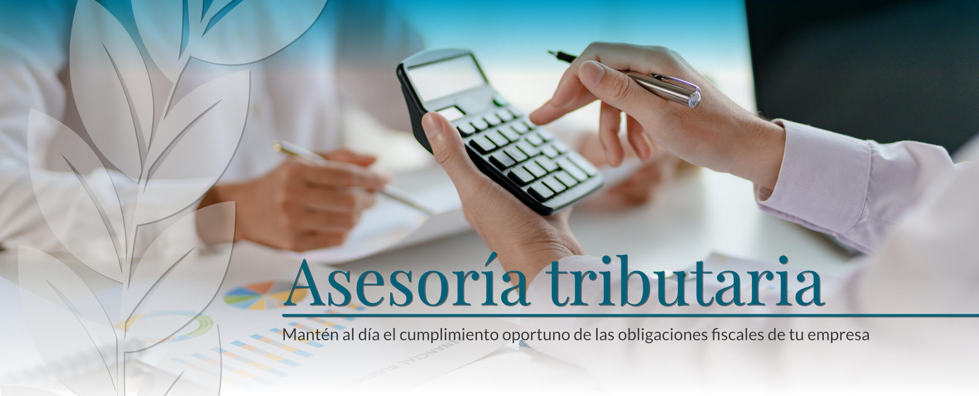 Asesoría Tributaria